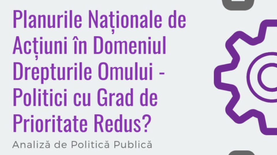 Planurile Naționale de Acțiuni în Domeniul Drepturile Omului – Politici cu Grad de Prioritate Redus_ (1)