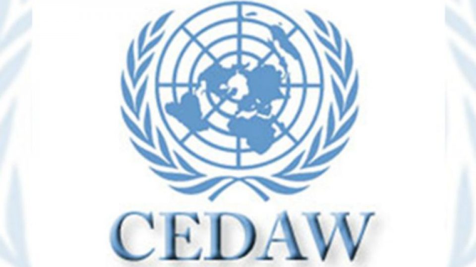 Cedaw-591fbe235f9b58f4c0e3e2f7