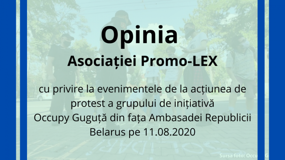 Opinia Asociației Promo-LEX