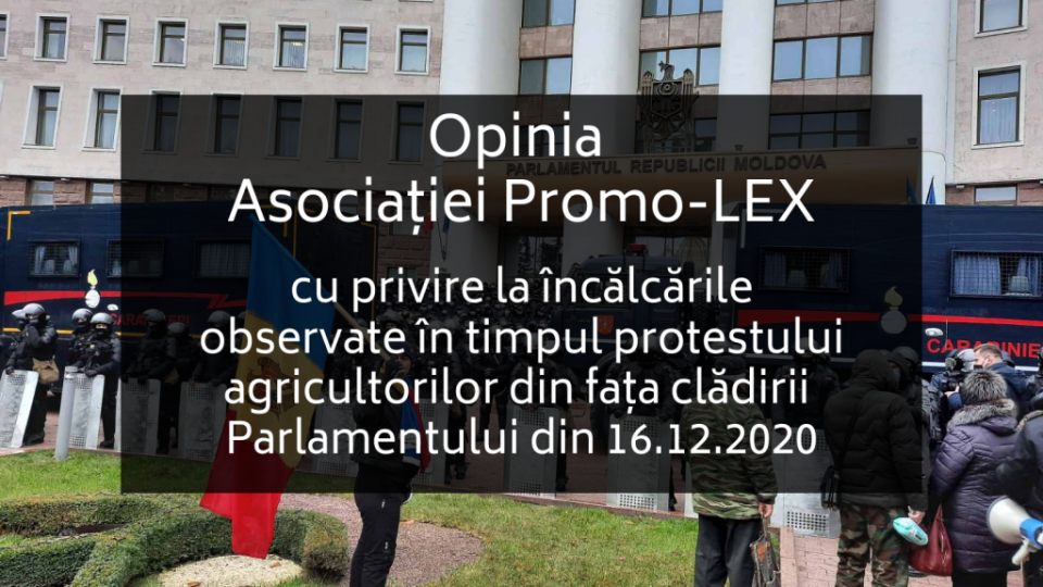 Adaugă un subtitlu (51)