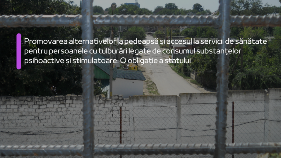 1_Adaugă un subtitlu