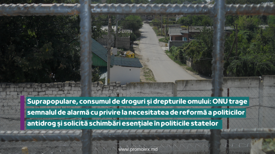 pagina_web