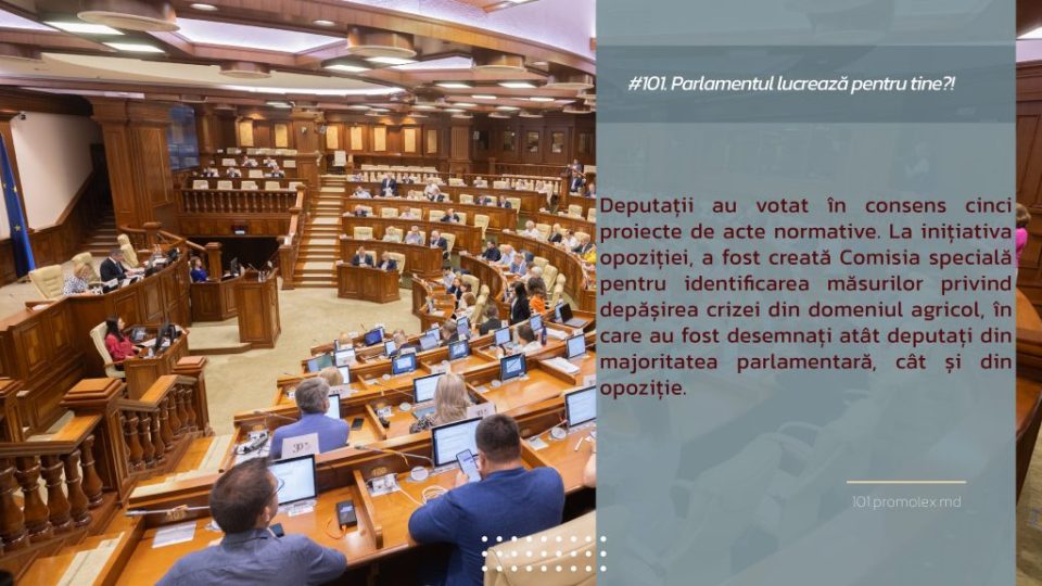 Machet 1@parlament25iulie